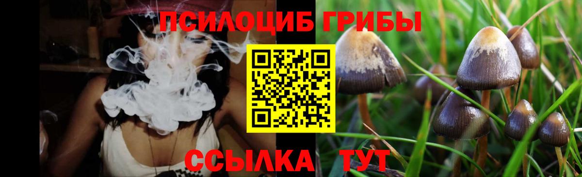 где купить наркотик  Вход с VPN  Кропоткин  Псилоцибиновые грибы Cubensis 